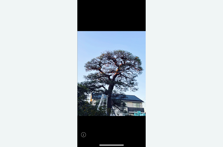 2FF95C00-0EEE-4CD5-8120-DEB56966F8D7