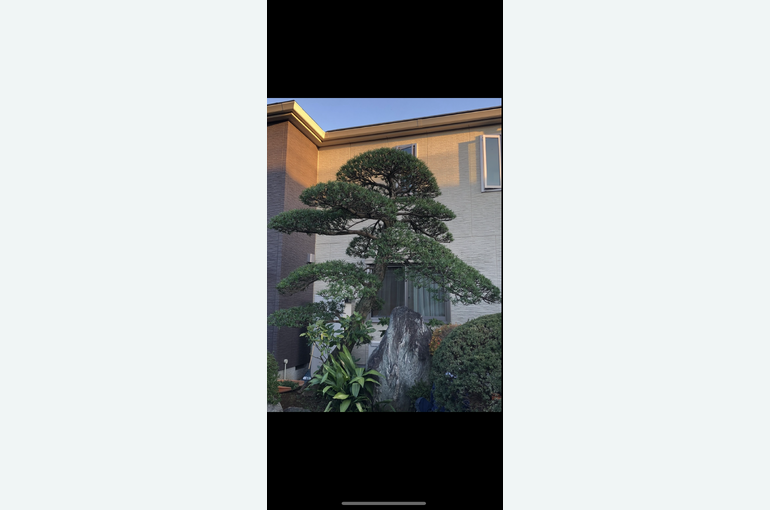 47F32E07-504F-4EC4-AEE2-790EC857E54C