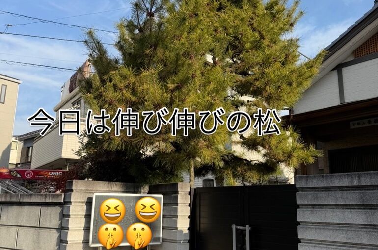 1C4AA4D4-DD7C-49C5-8566-EB347008A3E3